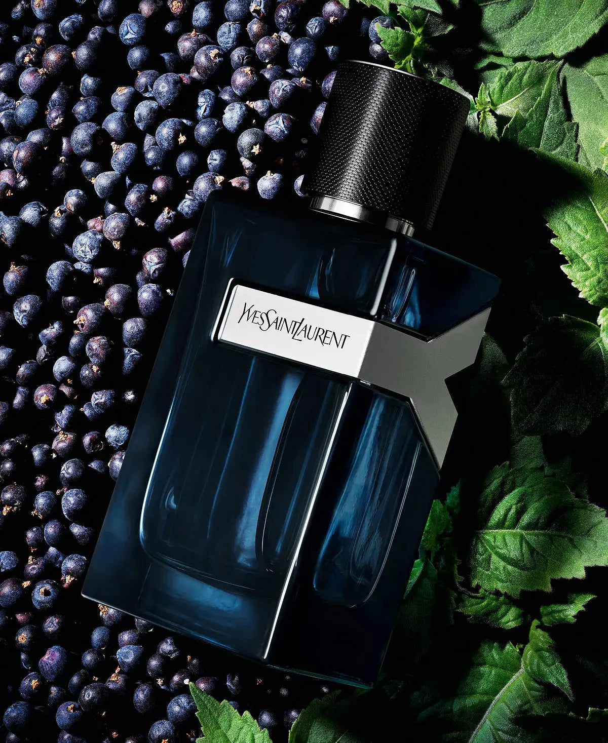 Yves Saint Laurent Y Intense 3.3 oz For Men Eau de Parfum Spray - perfumesandrea